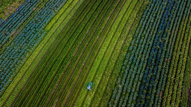 Santa Catarina exporta 70% da sua produção agropecuária