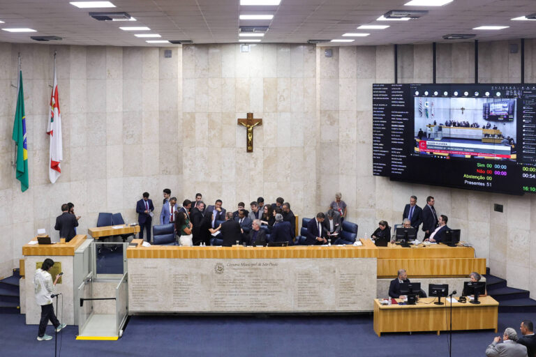 Painel: Câmara de SP deve instalar CPIs da Habitação Social e das Enchentes