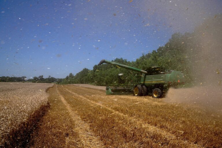 Agricultores dos EUA temem guerra comercial de Trump com a China: 'Não podemos ser o bode expiatório'