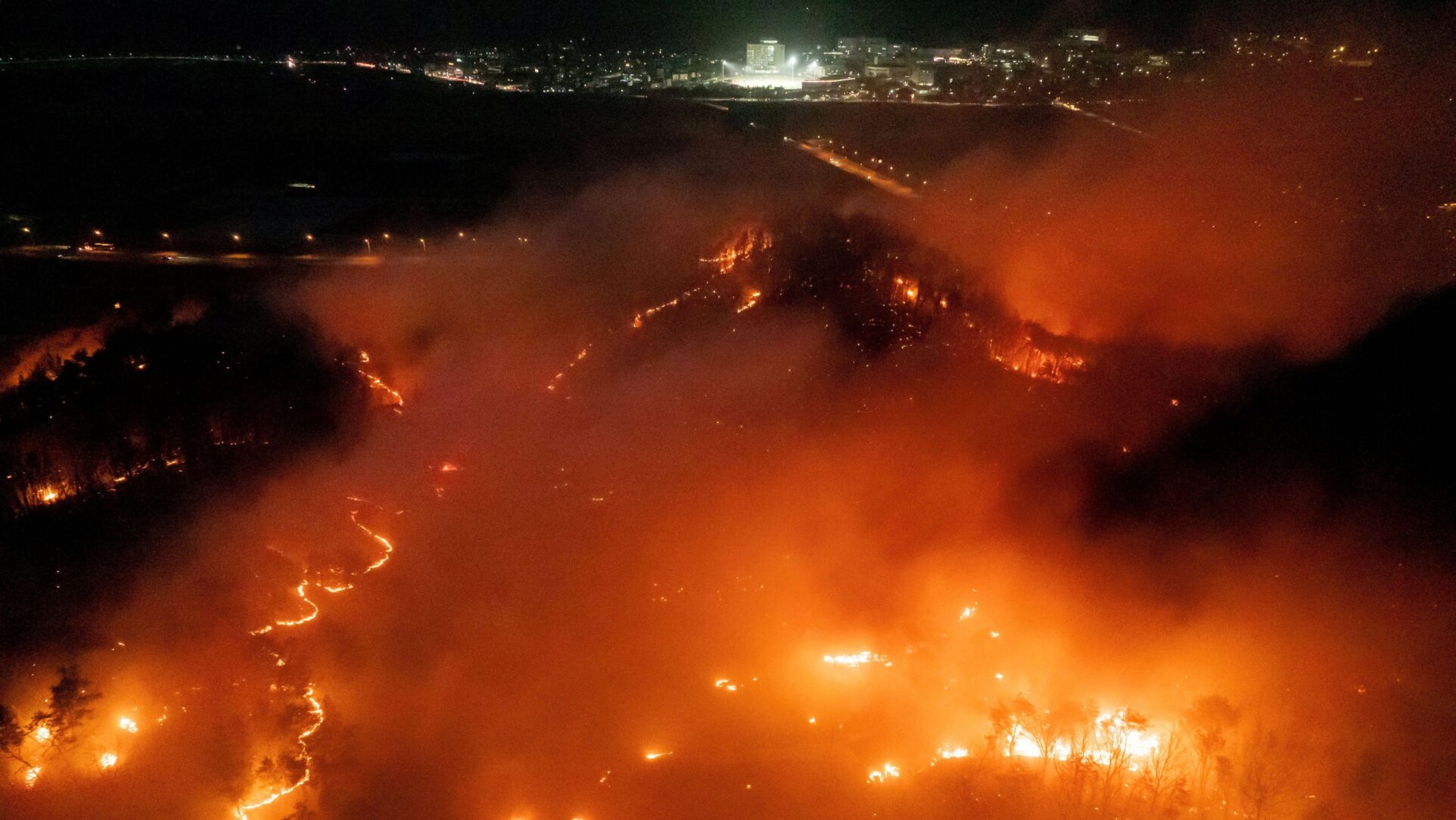 Sobe para 30 o número de mortos nos incêndios florestais na Coreia do Sul | CNN Brasil
