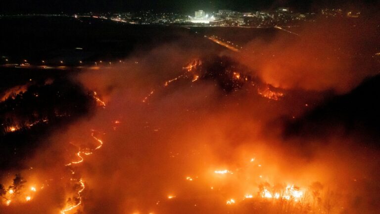 Sobe para 30 o número de mortos nos incêndios florestais na Coreia do Sul | CNN Brasil