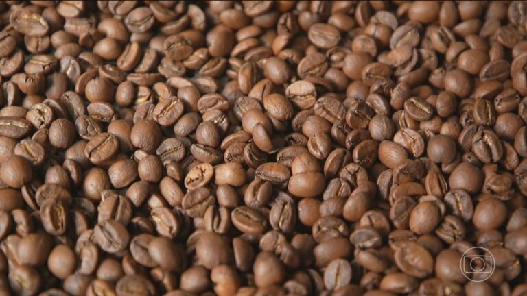 Quais produtos o agro brasileiro mais vende para os EUA