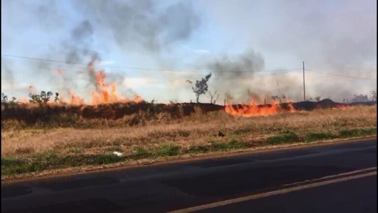 Bombeiros combatem vários focos de incêndio no Distrito Industrial em Uberlândia; veja vídeo